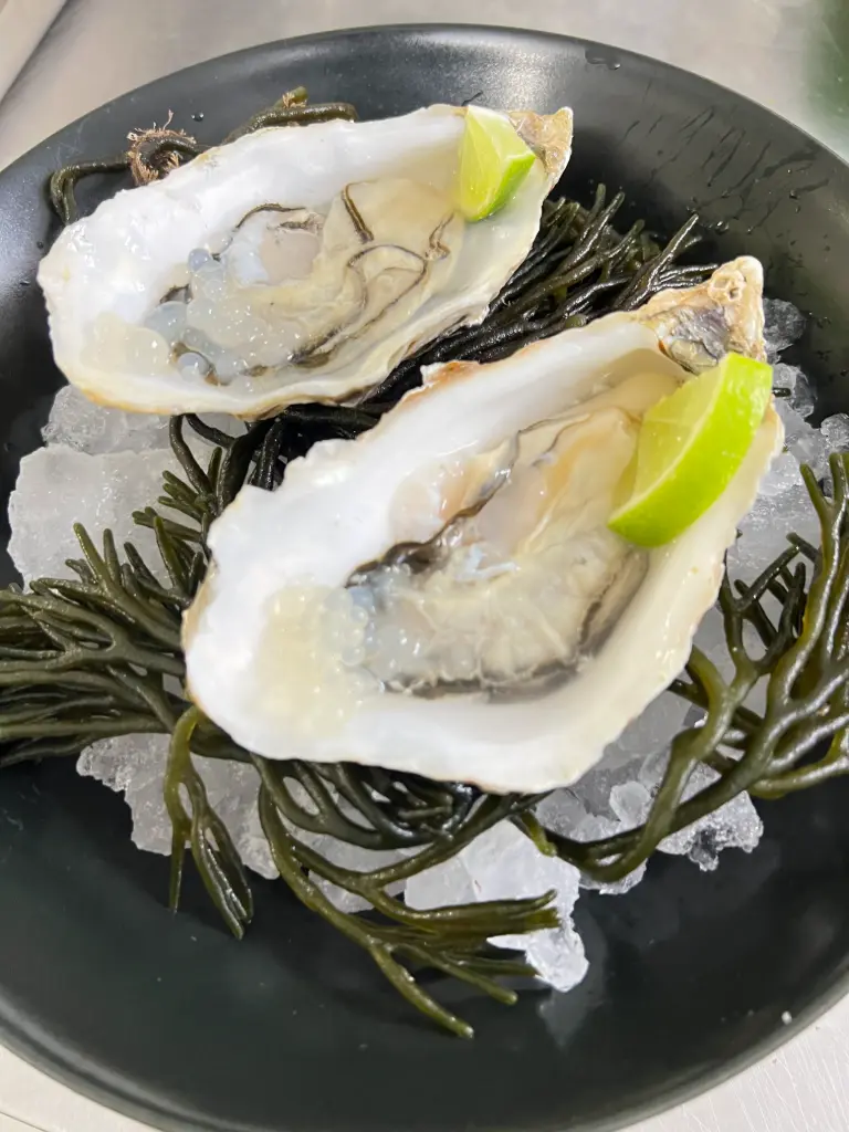 Champagne y ostras XS