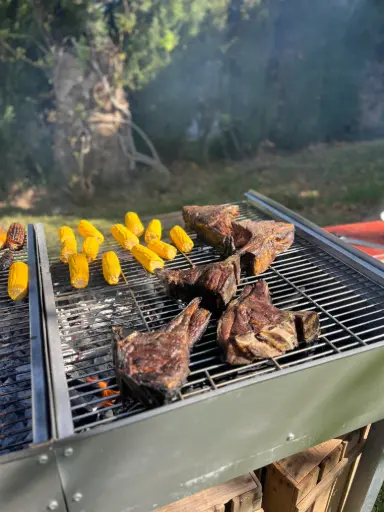 [Cat] Barbacoa Gourmet