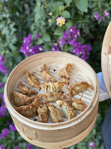 [Cat] Gyoza de seitán y nira (r) XS