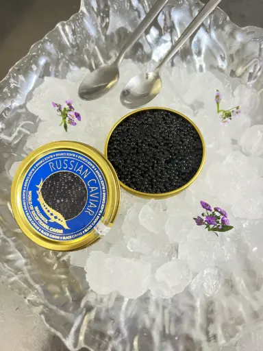 [Cat] Caviar XS