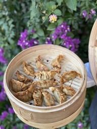 [Cat] Gyoza de pato Pekin